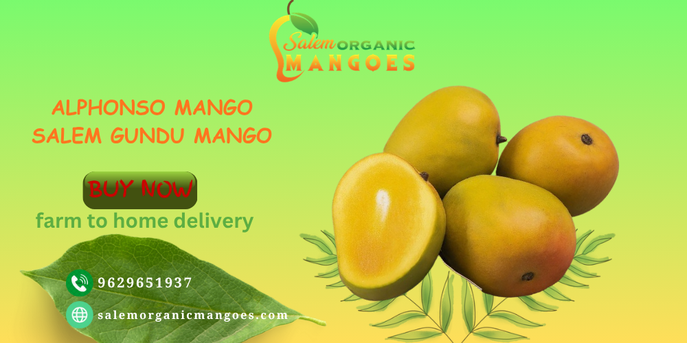 SLIDE FOR ALPHONSO MANGO.png